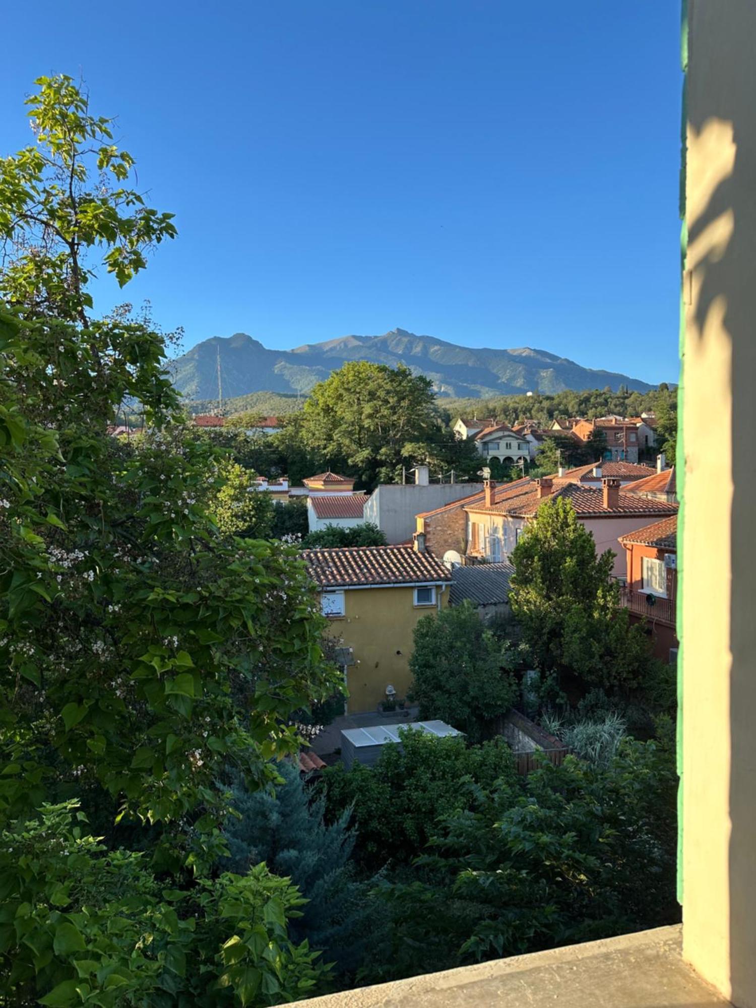 L'Enthousiasme Bed and Breakfast Prades  Εξωτερικό φωτογραφία