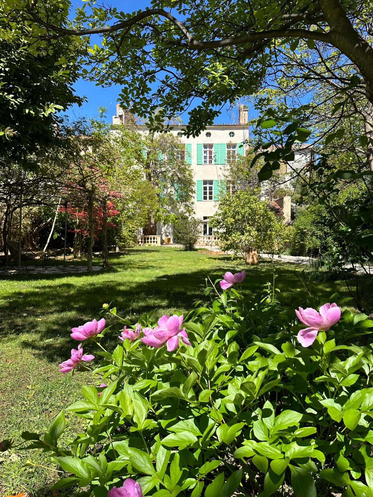 L'Enthousiasme Bed and Breakfast Prades  Εξωτερικό φωτογραφία