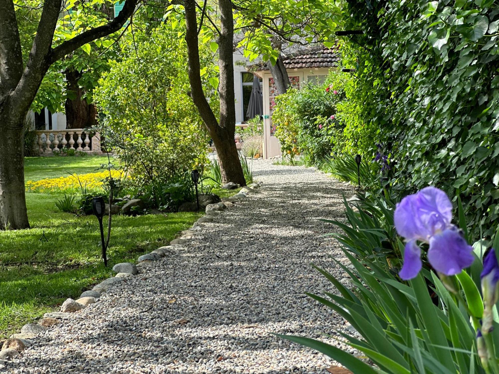 L'Enthousiasme Bed and Breakfast Prades  Εξωτερικό φωτογραφία